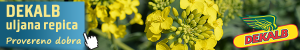 baner dekalb