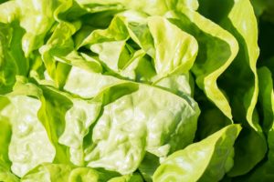 salata