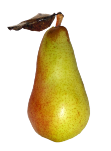 abate fetel