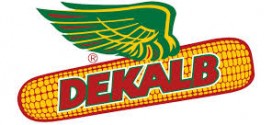 DEKALB Živi na njivi