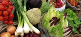 biofertilizacija plasticni organska proizvodnja hlor mraz u povrću
