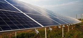 solarni paneli solarni povrtari novosti u poljoprivredi