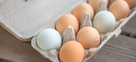 kvalitet jaja manjak minerala