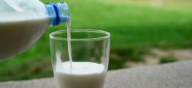 masti u mleku uticaj hrane