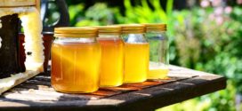 cena meda pčelari med pravi sajam pčelarstva med svaki dan sajam meda amitraz u medu