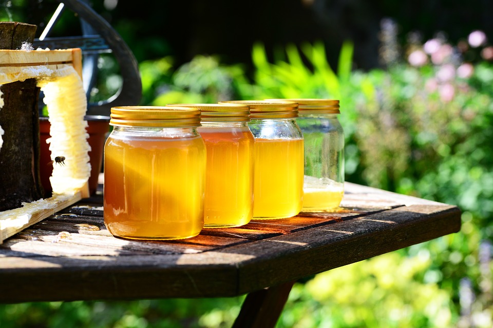 cena meda pčelari med pravi sajam pčelarstva med svaki dan sajam meda amitraz u medu