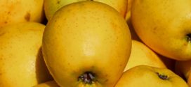 jabuka zlatni delišes savetovanje gruža