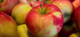 jabuka izvoz jabuke voskirajte
