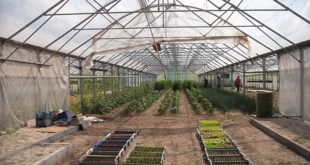 Provetravanje bočno