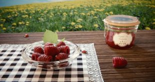 malina donosi zaradu maline cena
