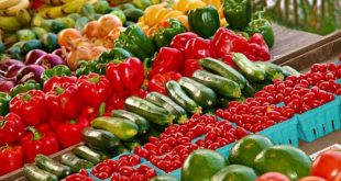 krediti sa marketing u poljoprivredi berba povrća zadrugarstvo