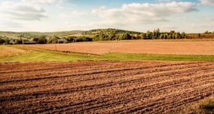 poljoprivreda srbije zakup zemljišta subvencije za poljoprivredu
